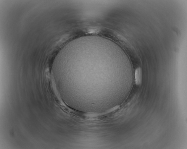 X0000113881443200910151302