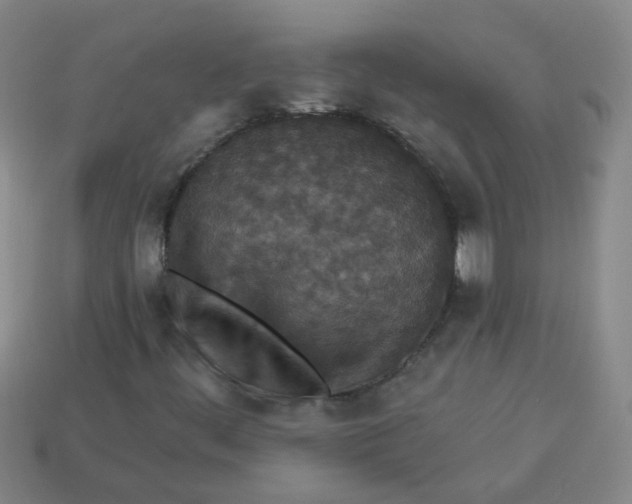 X0000113881444200910151302