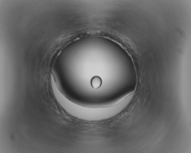 X0000113881445200910151302