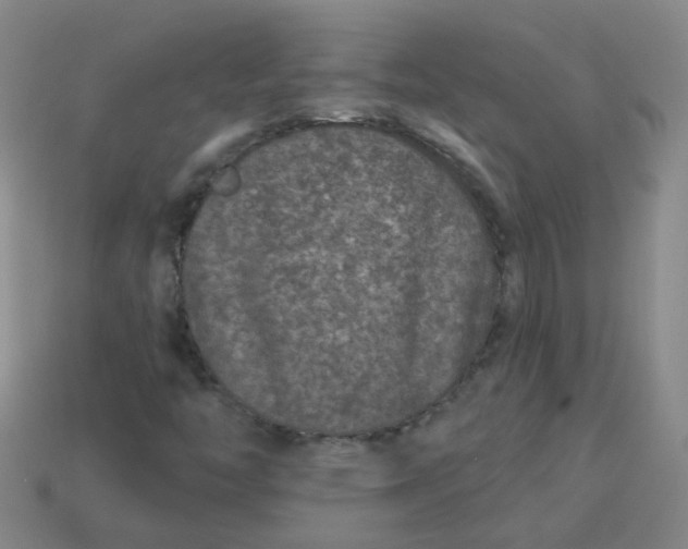 X0000113881446200910151302