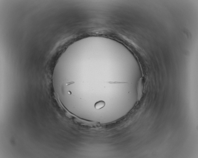 X0000113881447200910151302