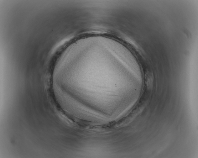 X0000113881448200910151302