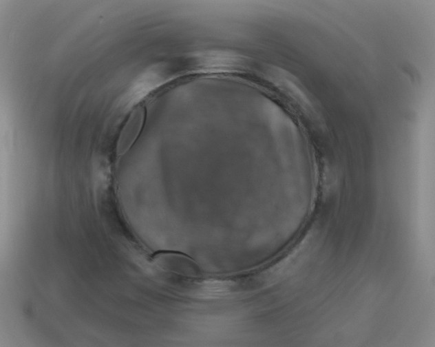 X0000113881449200910151302