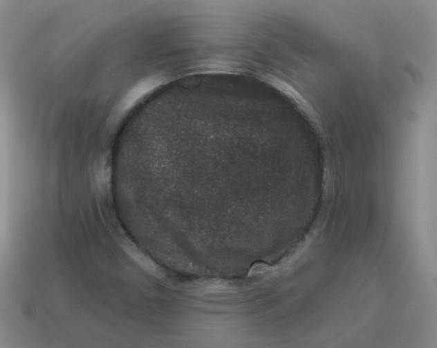 X0000113881450200910151302