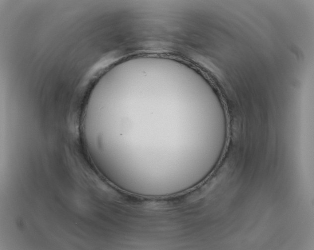 X0000113881451200910151302