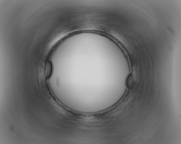 X0000113881452200910151302