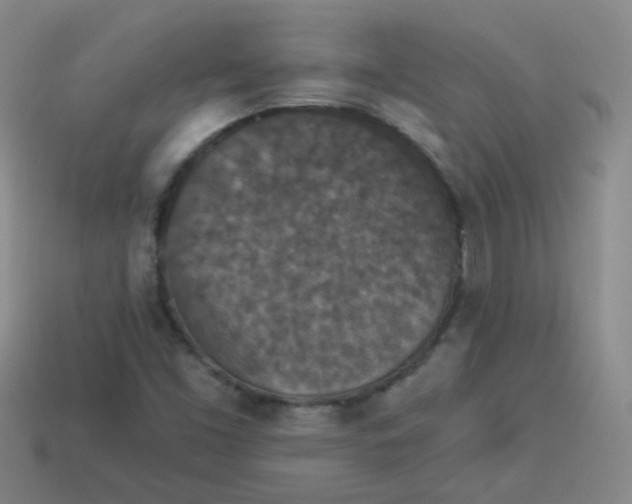 X0000113881453200910151302