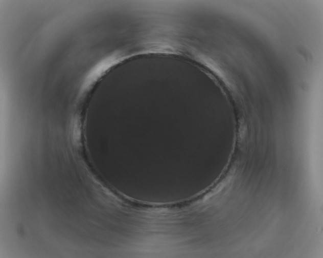 X0000113881455200910151302