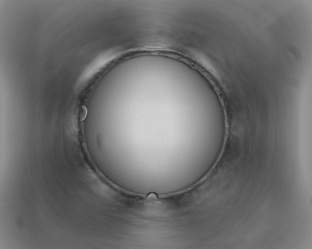 X0000113881456200910151302