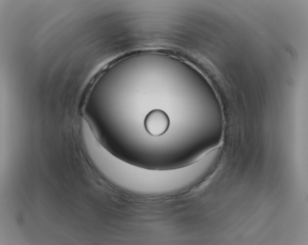 X0000113881457200910151302