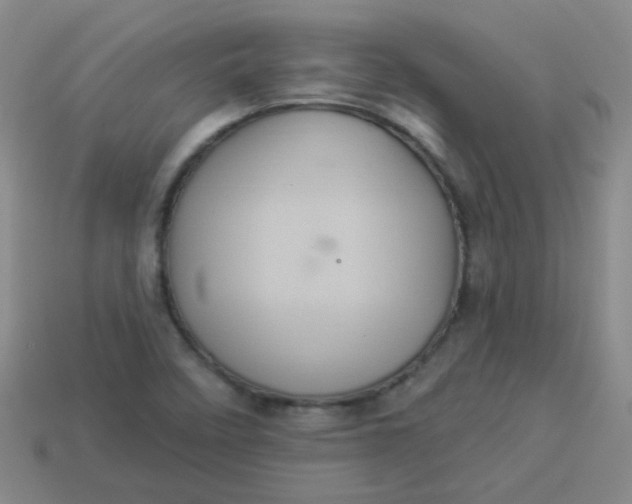 X0000113881458200910151302