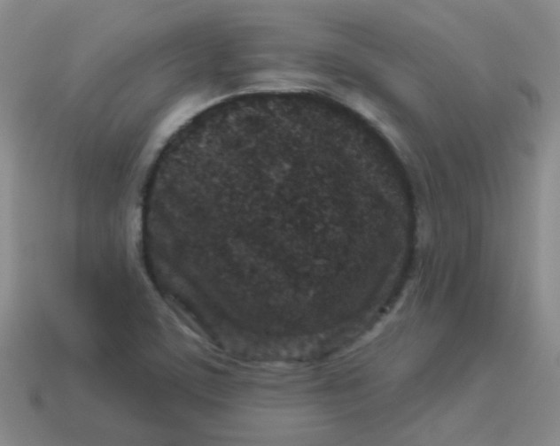 X0000113881459200910151302