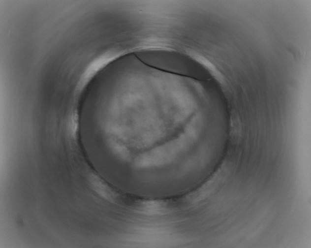 X0000113881461200910151302