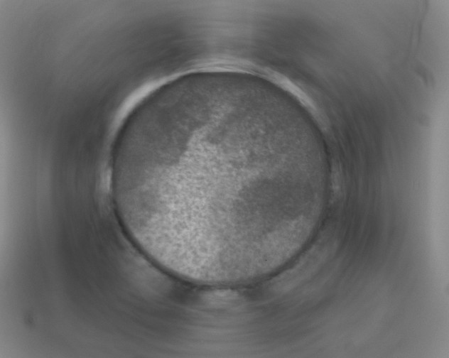 X0000113881462200910151302