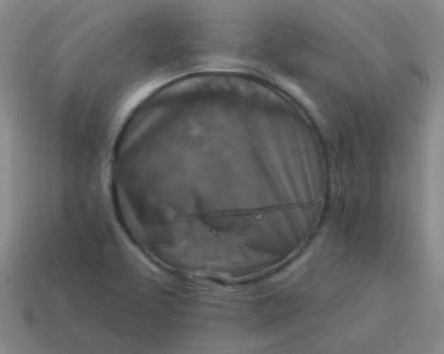 X0000113881463200910151302