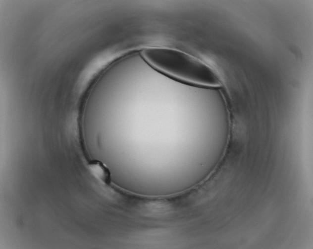 X0000113881464200910151302