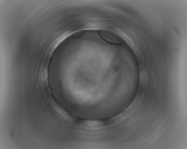 X0000113881465200910151302