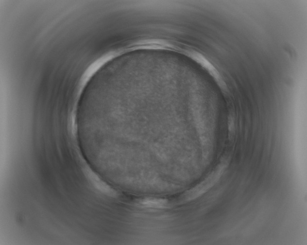 X0000113881466200910151302