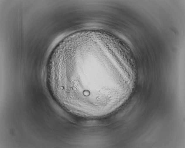 X0000113881467200910151302