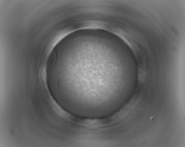 X0000113881468200910151302