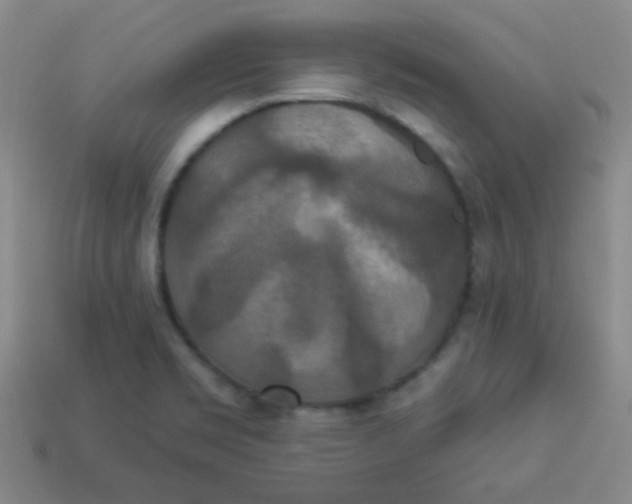 X0000113881469200910151302