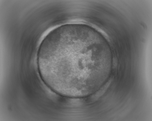 X0000113881470200910151302