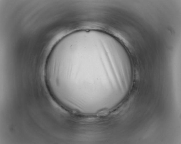 X0000113881471200910151302