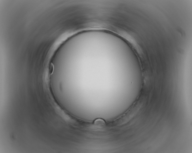 X0000113881472200910151302