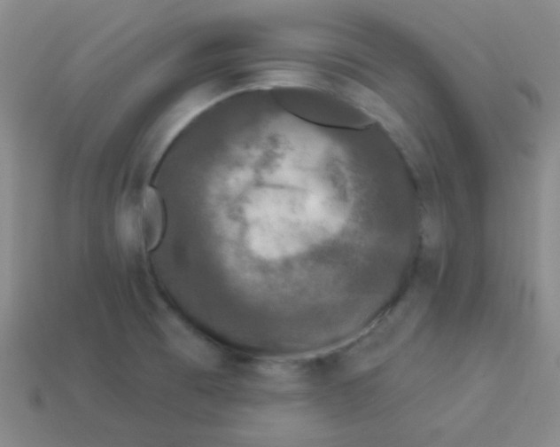 X0000113881473200910151302