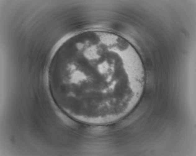 X0000113881474200910151302