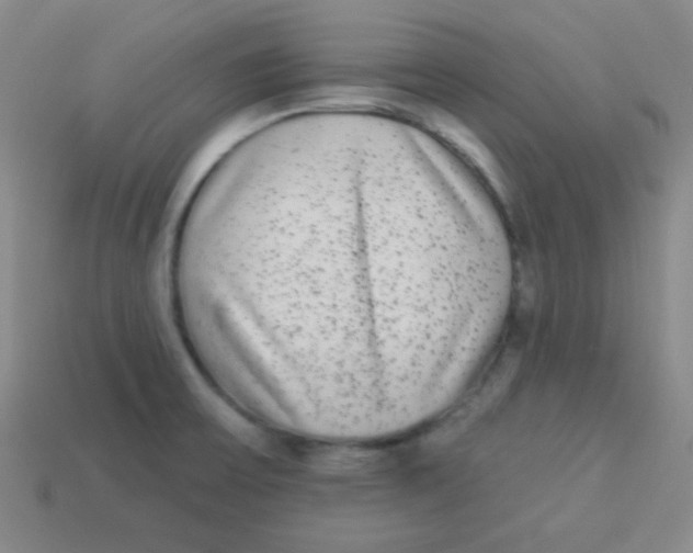 X0000113881475200910151302