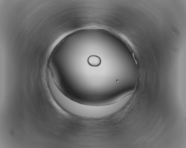 X0000113881476200910151302