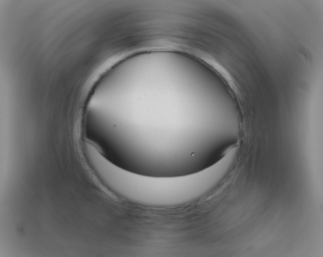 X0000113881477200910151302