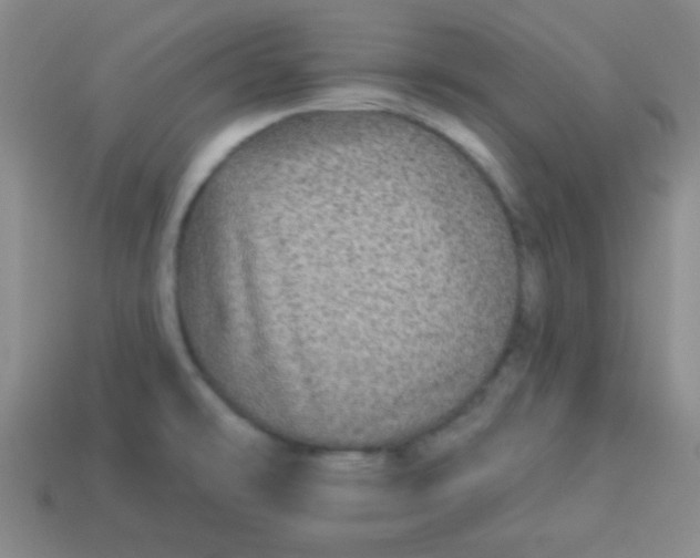 X0000113881478200910151302