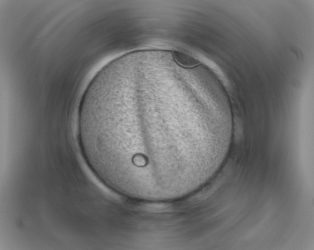 X0000113881479200910151302