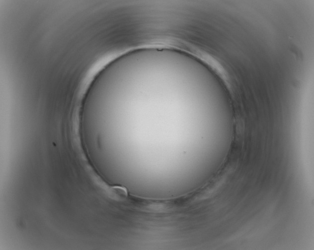 X0000113881480200910151302