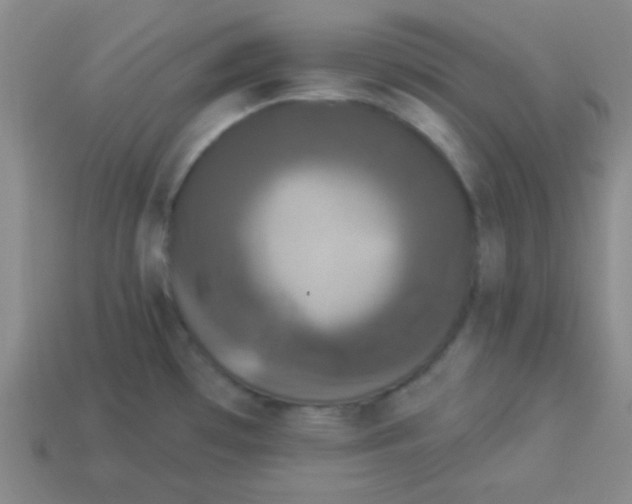 X0000113881481200910151302