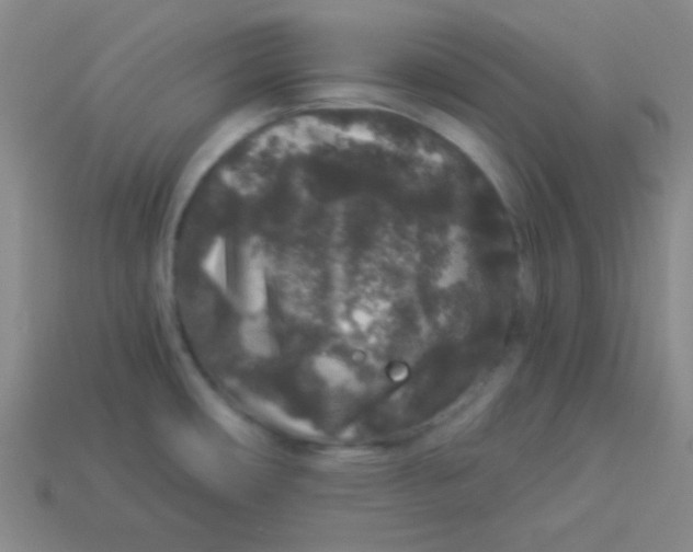 X0000113881482200910151302