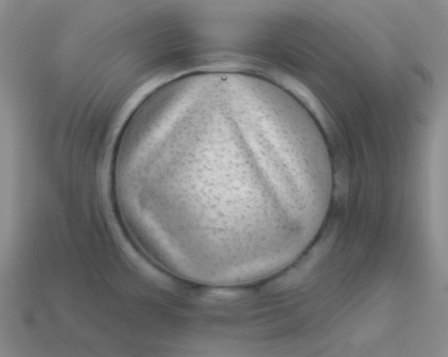 X0000113881483200910151302