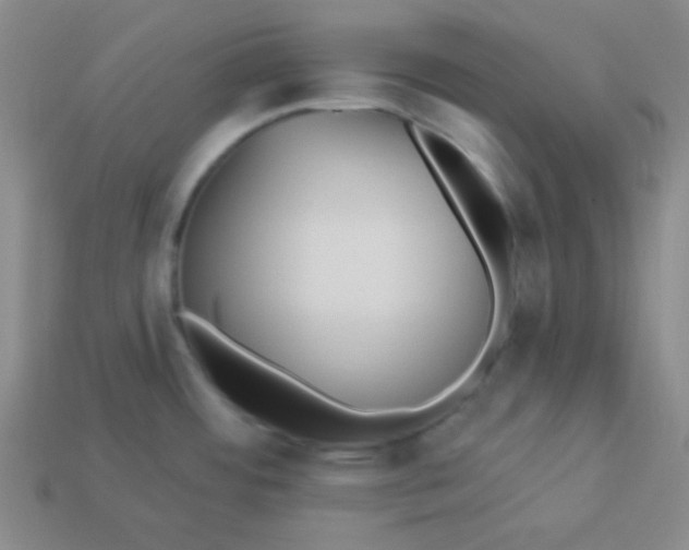 X0000113881484200910151302