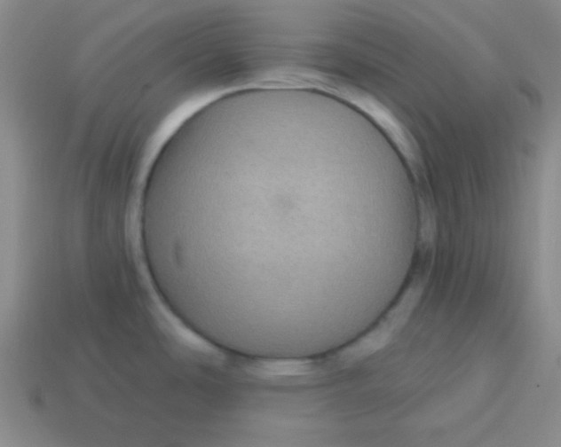 X0000113881486200910151302