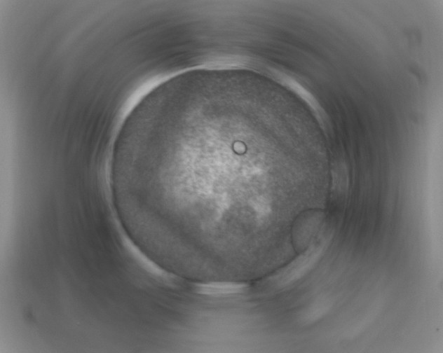 X0000113881487200910151302