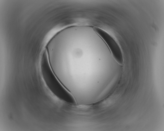 X0000113881488200910151302