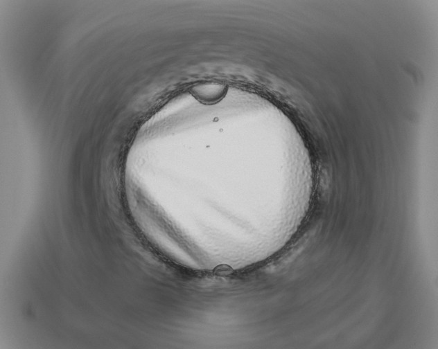 X0000113881489200910151301