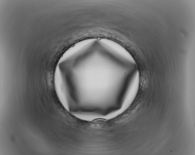 X0000113881490200910151301