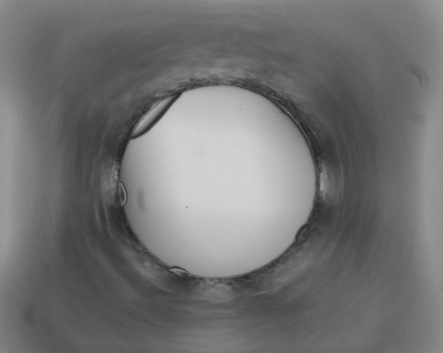 X0000113881492200910151301