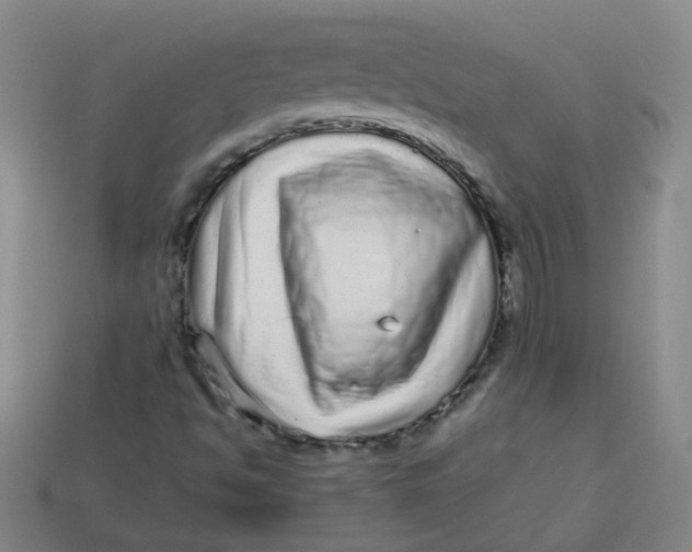 X0000113881494200910151301