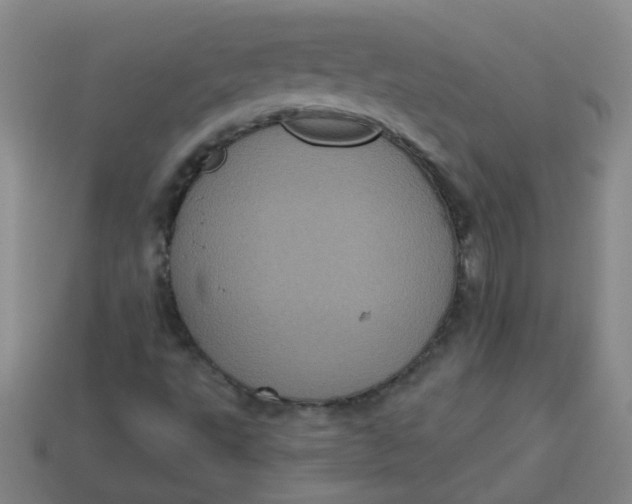 X0000113881495200910151301