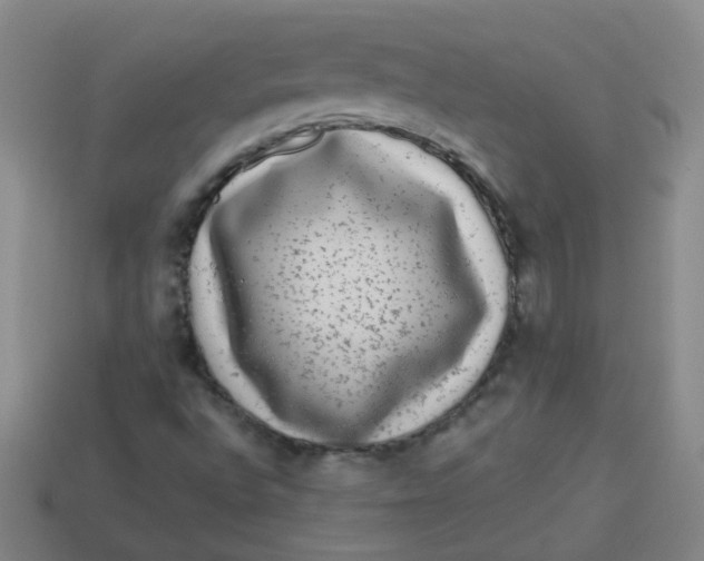 X0000113881496200910151301