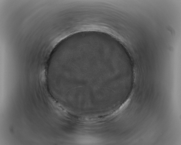 X0000113881497200910151301